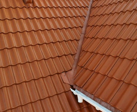 Stogų valymas ir priežiūra - Stogų, fasadų, trinkelių plovimas - dažymas - 2