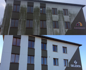 Stogų valymas ir priežiūra - Stogų, fasadų, trinkelių plovimas - dažymas - 3