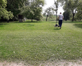 Avarinių medžių pjovimas/ žolės pjovimas. / Arboristas Egidijus / Darbų pavyzdys ID 1316433