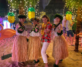 Renginių vedėjas Karolis/dj (lt-en-ru ) / Karolis Zlatkauskas / Darbų pavyzdys ID 1318059