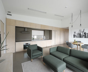 Architektė/projektavimas/gaisrinė sauga / Gėsė Bur / Darbų pavyzdys ID 1318191