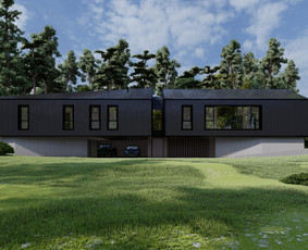 Individualių namų projektavimas - Architektė/projektavimas/gaisrinė sauga - 3