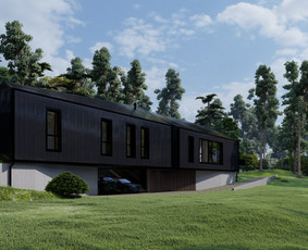 Architektė/projektavimas/gaisrinė sauga / Gėsė Bur / Darbų pavyzdys ID 1318215
