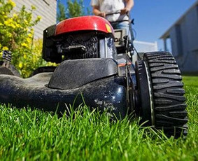 "Aplinkos pulsas" kokybiškas aplinkos tvarkymas - Vejos priežiūra, įrengimas - 2 Vejos priežiūra, įrengimas - "Aplinkos pulsas" kokybiškas aplinkos tvarkymas - 2