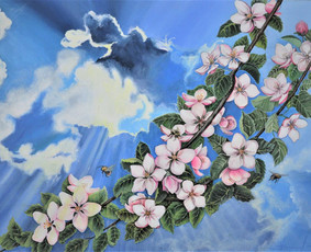 50x70