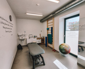 Kineziterapeutai - Kineziterapija namuose ir kineziologinis testavimas - 2