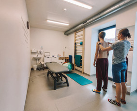 Kineziterapeutai - Kineziterapija namuose ir kineziologinis testavimas - 4