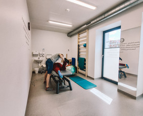 Kineziterapeutai - Kineziterapija namuose ir kineziologinis testavimas - 3