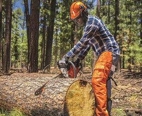 &Scaron;akų smulkinimas - Medžių pjovimas genėjimas - 1