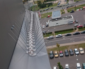 Sumontuoti apsauginiai spygliai nuo balandžių ant PC "Ozas" stogo