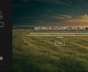 Web programuotojas su ilgamete patirtimi - Svetainių kūrimas - 2 Svetainių kūrimas - Web programuotojas su ilgamete patirtimi - 2