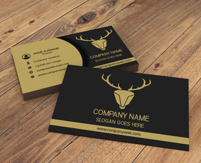 Grafikos dizaineriai - Grafikos dizainėris - 4