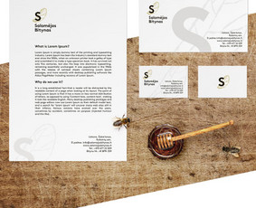 Leidinių maketavimas - Logotipo ir vientisos vizualinės tapatybės kūrimas &ndash; 15 m. - 2