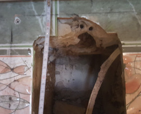 Pelėsio ir medžio grybo "Trobagrybio" naikinimas, šalinimas / PelėsioNaikinimasSalinimas.lt / Darbų pavyzdys ID 1340209