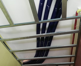 Pelėsio ir medžio grybo "Trobagrybio" naikinimas, šalinimas / PelėsioNaikinimasSalinimas.lt / Darbų pavyzdys ID 1340249
