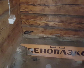 Pelėsio ir medžio grybo "Trobagrybio" naikinimas, šalinimas / PelėsioNaikinimasSalinimas.lt / Darbų pavyzdys ID 1340281
