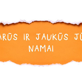 Profesionalus minkštų baldų, patalpų valymas / Rimantė Daujotienė / Darbų pavyzdys ID 279699