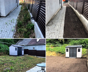 Vejos įrengimas, ruloninė veja, laistymas / ProVejos / Darbų pavyzdys ID 1343545