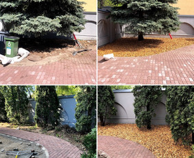 Vejos įrengimas, ruloninė veja, laistymas / ProVejos / Darbų pavyzdys ID 1343551