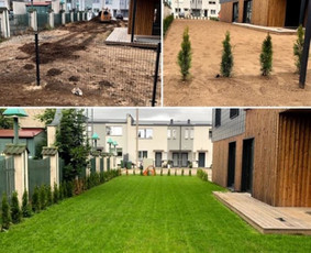 Vejos įrengimas, ruloninė veja, laistymas / ProVejos / Darbų pavyzdys ID 1343559