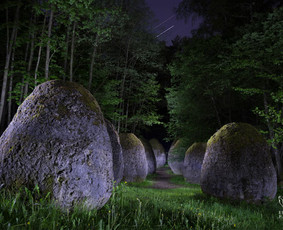 Vestuvės, renginiai, verslo portretai, asmeninės fotosesijos / Linas Bielinis / Darbų pavyzdys ID 280167