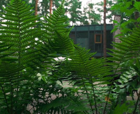 Antrą kart apsilankėme Pokerlife.lt stovykloje, Tony Resort, Trakuose.