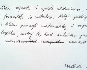 Matematika - skubus ruošimas egaminams / Tomas / Darbų pavyzdys ID 289019