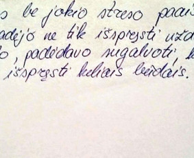 Matematika - skubus ruošimas egaminams / Tomas / Darbų pavyzdys ID 289021