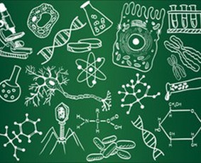 Pasiruo&scaron;imas biologijos egzaminams - Biologijos korepetitorius (mokytojas). Dirbu ir online. - 2