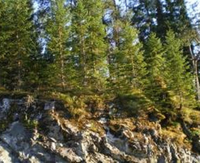 Norvegų kalbos pamokos, Seo tekstų rašymas, redagavimas - Individualus norvegų kalbos mokymas - 1 Individualus norvegų kalbos mokymas - Norvegų kalbos pamokos, Seo tekstų rašymas, redagavimas - 1