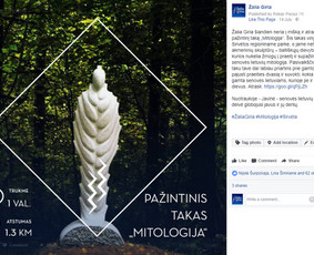Socialinių tinklų administravimas, turinys ir reklama / Rokas Pocius / Darbų pavyzdys ID 297543