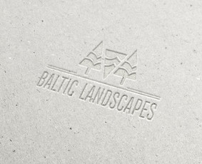 Grafikos dizainas: maketavimo darbai, logo, pakuočių kūrimas / Artsymetriam / Darbų pavyzdys ID 1360207
