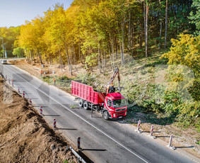 Kelmų šalinimas (rovimas, gręžimas, frezavimas, išvežimas) - Šakų išvežimas - 1 Šakų išvežimas - Kelmų šalinimas (rovimas, gręžimas, frezavimas, išvežimas) - 1