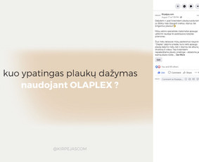 Socialinių tinklų kūrimas, komunikacija + strategija / Emilija Rimkute / Darbų pavyzdys ID 1371075