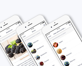 mobiliuju aplikaciju dizainas
mobiliuju aplikaciju kurimas
app kurimas
mobiliuju programėliu kurimas