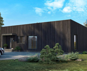 Architektė Giedrė Karenė / Giedrė Karenė / Darbų pavyzdys ID 1377727