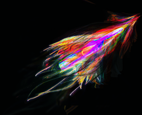 Lauko reklamos kūrimas - Digital Dizaineris - 3