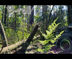 Video montavimas, filmavimas, fotografavimas, filmavimas, fotografavimas dronu.