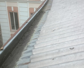 Profesionalios aukštalipių paslaugos / MB Besas / Darbų pavyzdys ID 492295