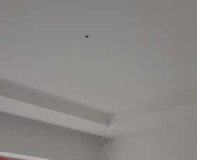 Elektros instaliacijos darbai, Šiauliai / Rimantas / Darbų pavyzdys ID 1397273