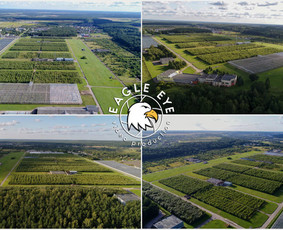 50 ha sklypas Pagiriuose (Nuotrauka iš oro)