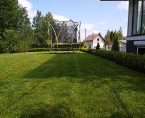 Aplinkos apželdinimas, tvarkymas, gerbūvio darbai. / Žaliasis spektras / Darbų pavyzdys ID 1408487