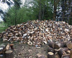 Skaldytos malkos - Malkos Panevėžyje. sausos ir įvairios Malkos - 1