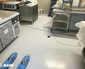MAPEFLOOR SL savaime išsilyginanti epoksidinė grindų danga restorane Vilniuje. 
http://www.mapei.com/public/NO/products/6732-mapefloorsl-lt.pdf