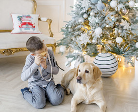 Vaiko, šeimos, kalėdinė fotosesija, fotostudija Vilniuje / Brigita Grigiene Photography / Darbų pavyzdys ID 1411087