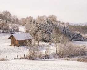 Konsultuoju žemės klausimais, turimo sklypo vertės padidinimo, racionalaus naudojimo, bei kad turimas sklypas tarnautų jums, o ne jus sklypui !