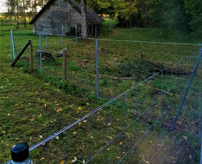 Tinklinės tvoros - Tvorų, vartų, vartelių bei terasų montavimas - 1