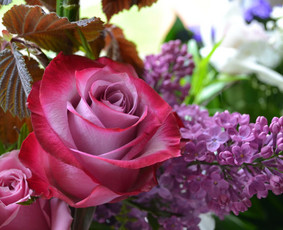 Floristika. Puošyba jūsų šventei. - Bažnyčios puošimas - 1 Bažnyčios puošimas - Floristika. Puošyba jūsų šventei. - 1