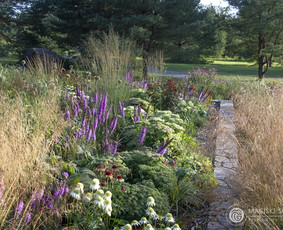 Kraštovaizdžio dizainas, laistymo sistemų ir vejos įrengimas / Magiški Sodai / Darbų pavyzdys ID 1416937