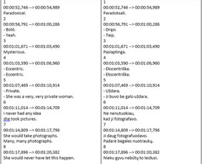 Vertimai anglų - lietuvių kalbomis - Reikia En-lt vertimo paslaugų? Susisiekime! - 2